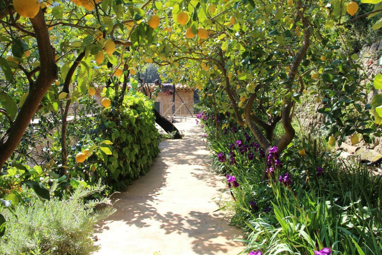 Ca Na Menga Villa Soller Luaran gambar